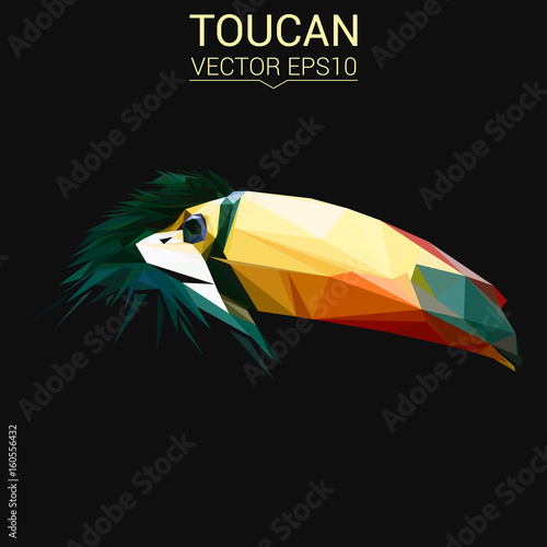 Toucan low poly design. Triangle vector illustration.
