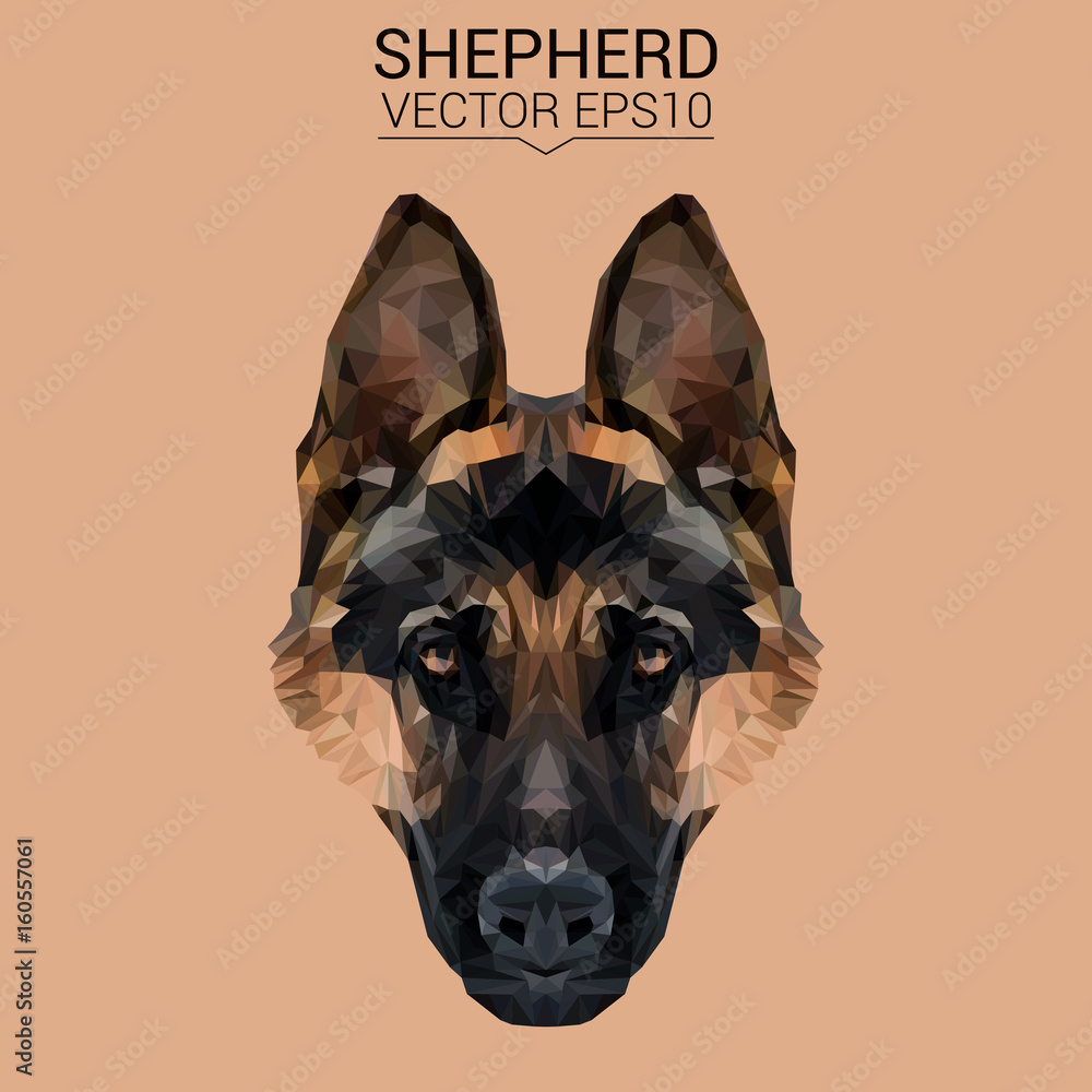 German shepherd Dog animal low poly design. Triangle vector illustration. - obrazy, fototapety, plakaty 