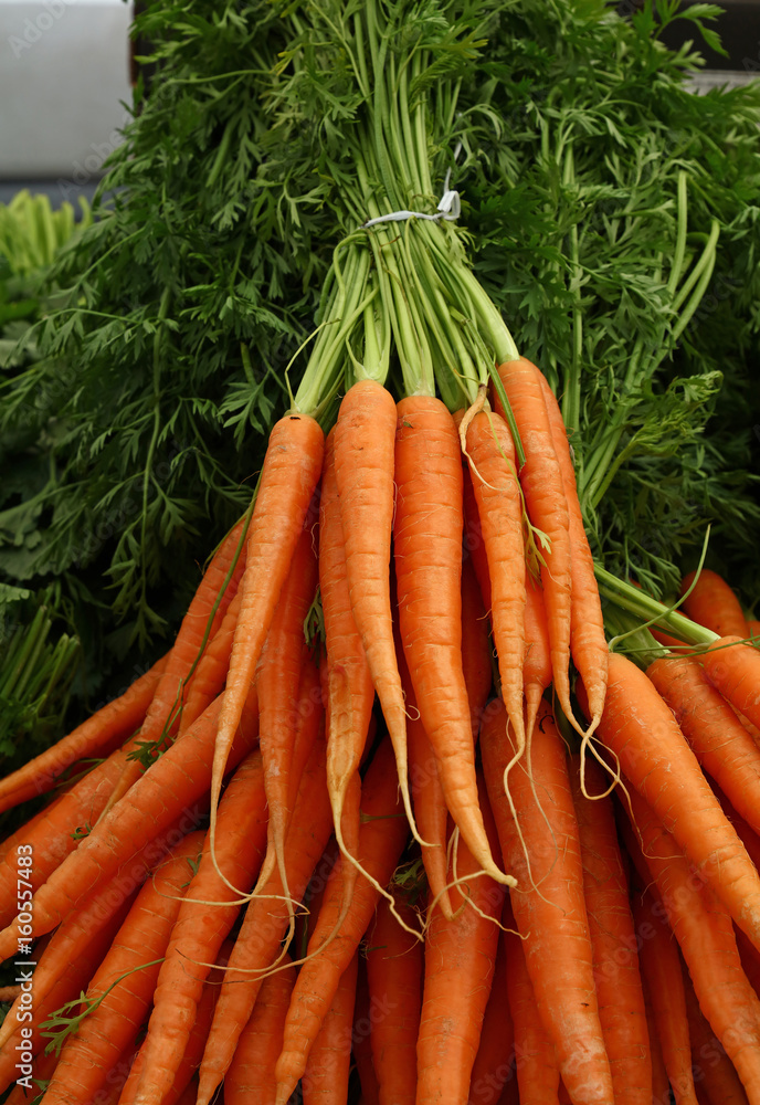 Bunches of fresh spring carrots with green top Bunches of fresh spring carrots with green top