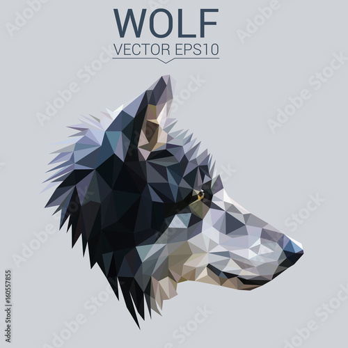Wolf low poly design. Triangle vector illustration. © shekularaz
