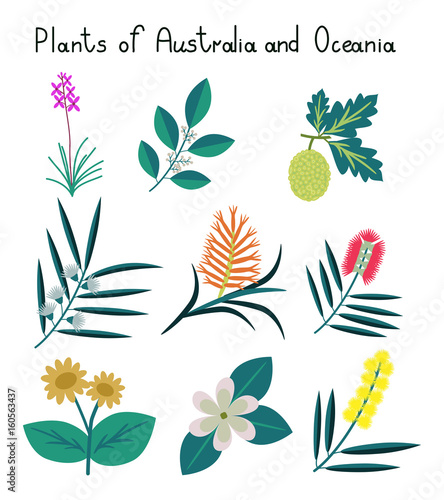 Plants of Australia and Oceania