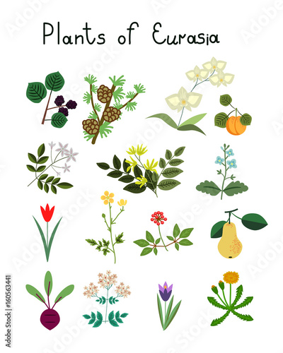 Plants of Eurasia