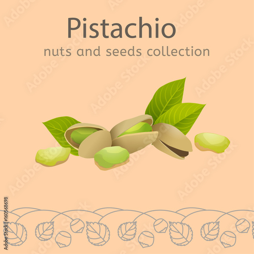 Nuts and seeds collection.