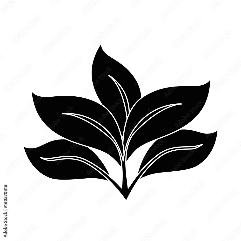Plant with leaves icon vector illustration graphic design