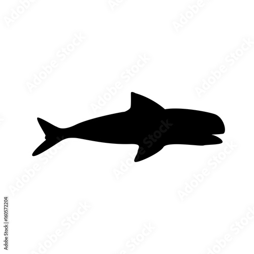 whale marine wildlife water animal silhouette vector illustration