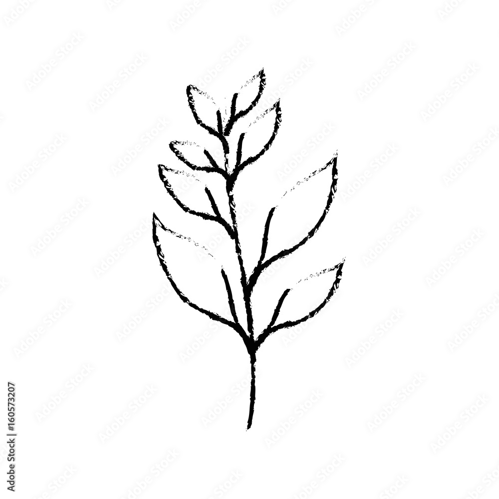 Plant ecology symbol icon vector illustration graphic design