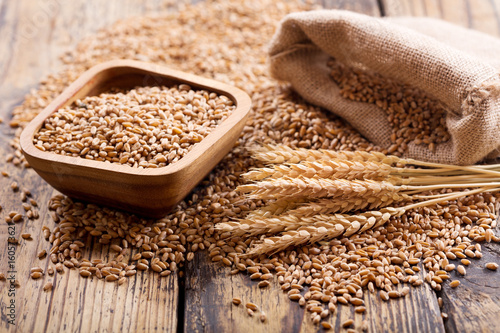 wheat ears and grains