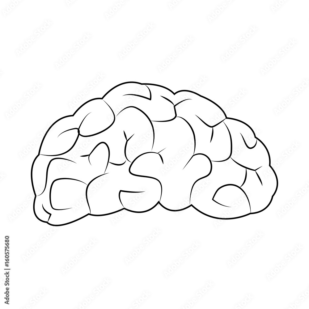 human brain for medical healty design vector illustration human brain for medical healty design vector illustration