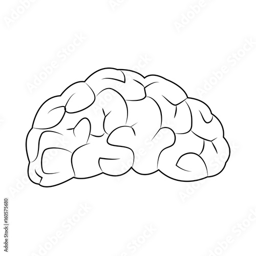 human brain for medical healty design vector illustration
