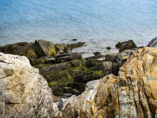 Seaweed Covered Coastline © Charte Photography