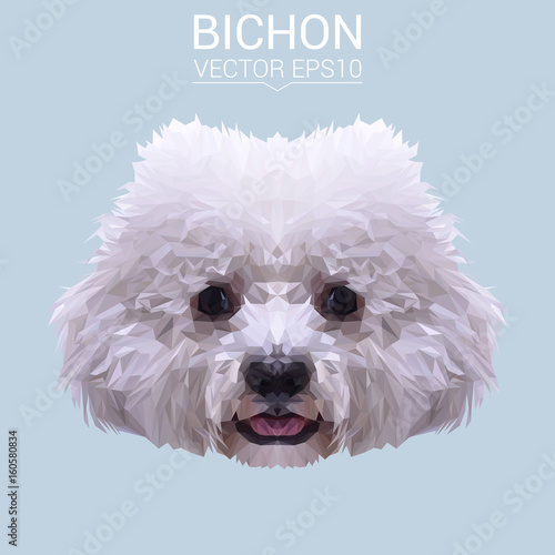 White Bichon Frise dog animal low poly design. Triangle vector illustration.