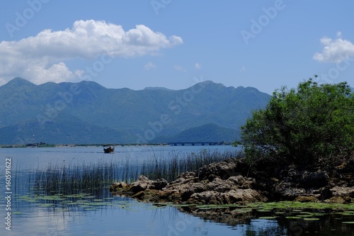 Fototapeta Naklejka Na Ścianę i Meble -  Skadar Lake, Montenegro