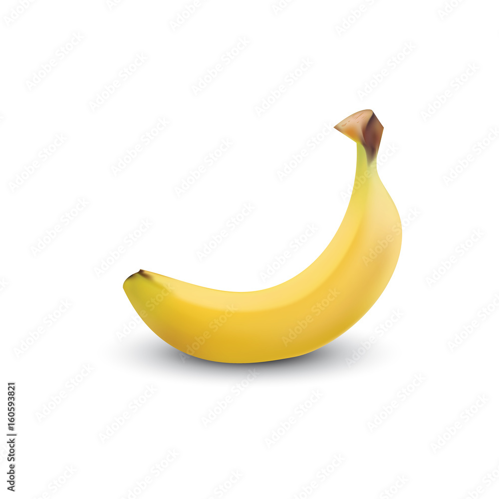 Banana realistic isolated, fruit Vector illustration. Banana Realistic illustration