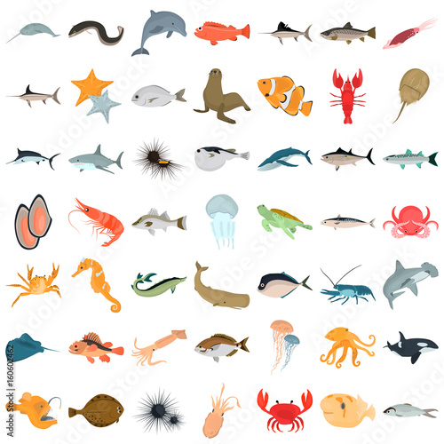 Big color flat sea animals and food icons for web and mobile design