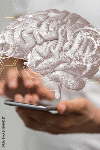 brain