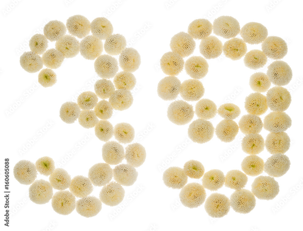 Arabic numeral 39, thirty nine, from cream flowers of chrysanthemum, isolated on white background Arabic numeral 39, thirty nine, from cream flowers of chrysanthemum, isolated on white background