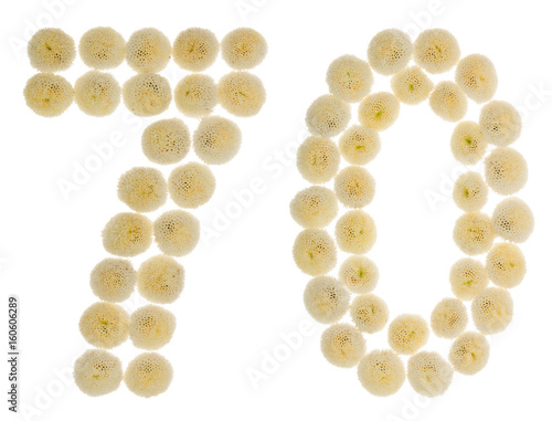 Arabic numeral 70  seventy  from cream flowers of chrysanthemum  isolated on white background
