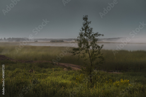 Landscape with a lone tree