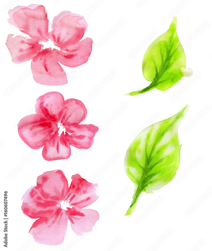 Set of decorative flowers, leaves