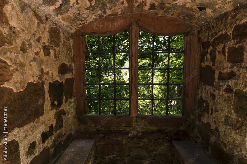 Fototapeta premium Ruine Schönrain im Spessart