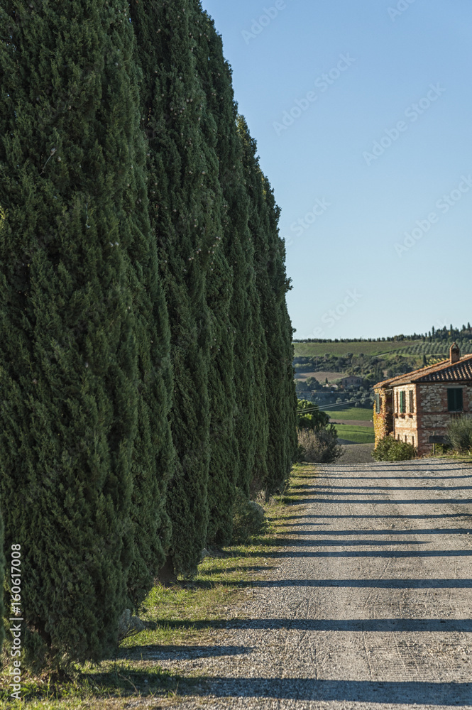 VAL D`ORCIA, TUSCANY-ITALY, OCTOBER 30, 2016: Farmhouse and cypress in the scenic Tuscany landscape with rolling hills and valleys in autumn, Val d'Orcia, Italy VAL D`ORCIA, TUSCANY-ITALY, OCTOBER 30, 2016: Farmhouse and cypress in the scenic Tuscany landscape with rolling hills and valleys in autumn, Val d'Orcia, Italy