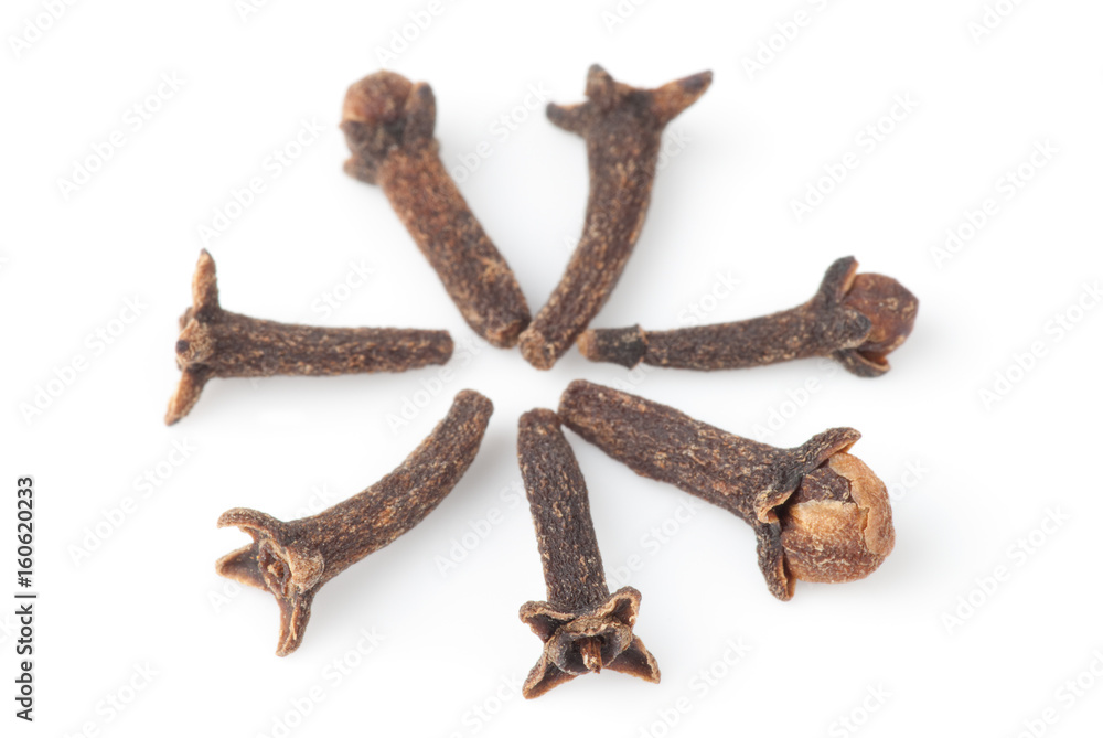 Obraz premium Cloves forming a circle, macro shot