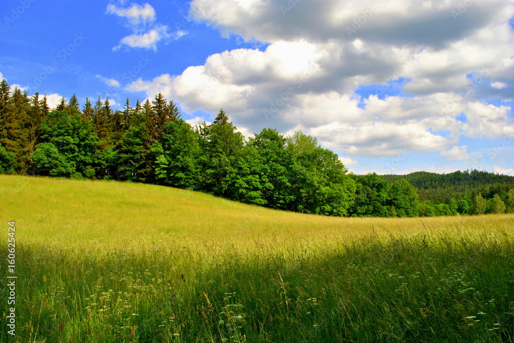 Fototapeta premium Horyzont