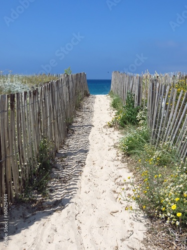 Chemin d’accès à la plage