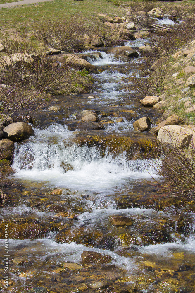 Stream running through Rocky Mountain National Park