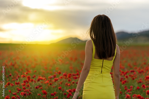 beautiful girl in a poppy field at sunset