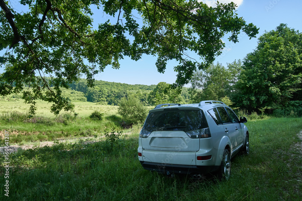 SUV in the forest SUV in the forest
