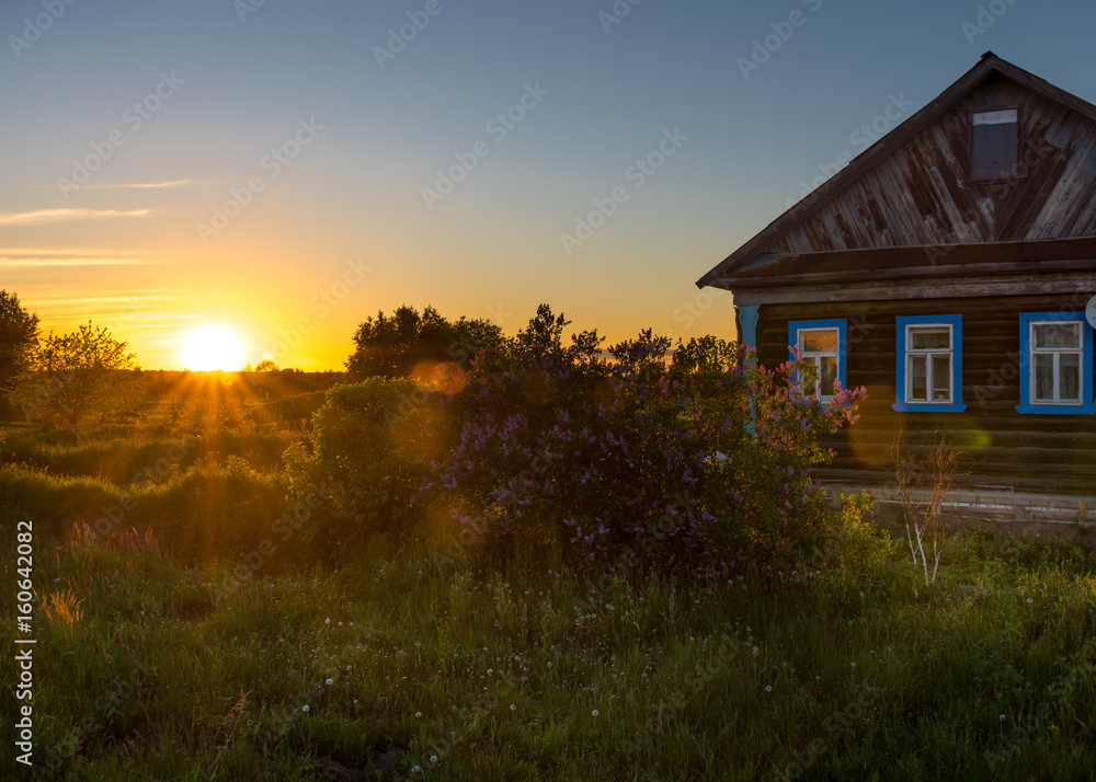 Sunset in the village Savinskoye, Yaroslavl region. Russia. The lilacs and the old house of wood. Russian landscape.