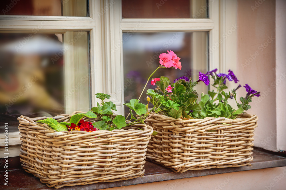 Flowers in the box