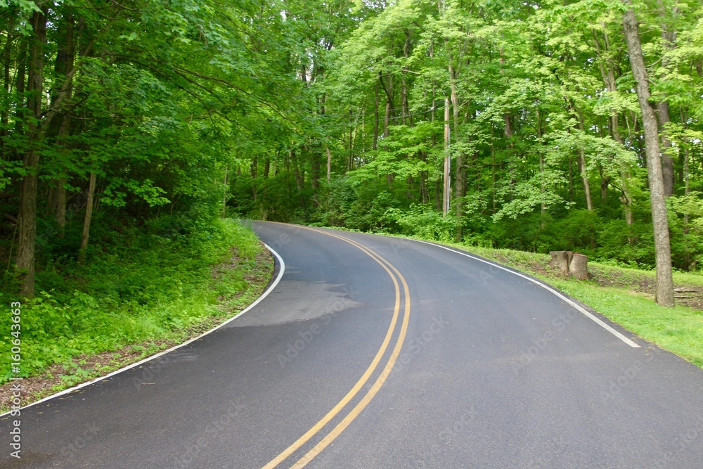 Obraz premium In the middle of a road that curves up the hill.