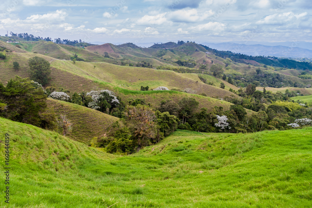 View over the coffee growing region of Colombia