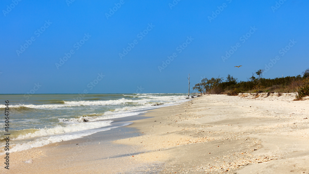 Typical coast of Sanibel Island, Florida, USA Typical coast of Sanibel Island, Florida, USA