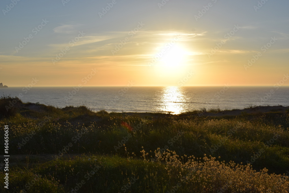 atardecer atardecer