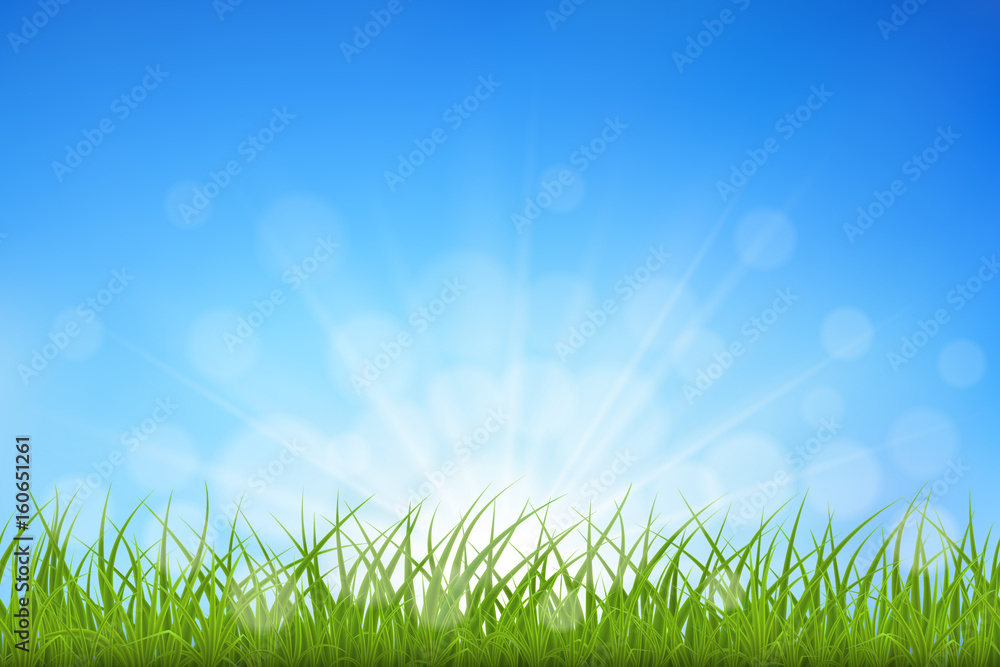 Green grass against blue sky sunbeams and bokeh background, vector illustration.