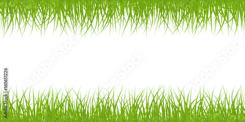 High quality green grass seamless border on white background, vector illustration.