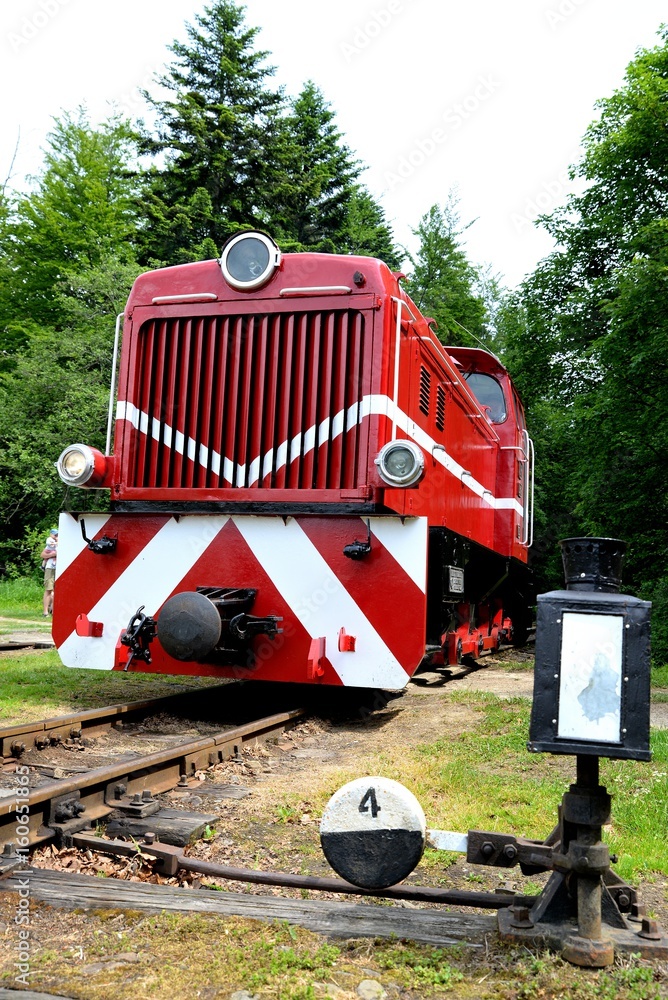 Narrow gauge railway Bieszczady forest track and attractions