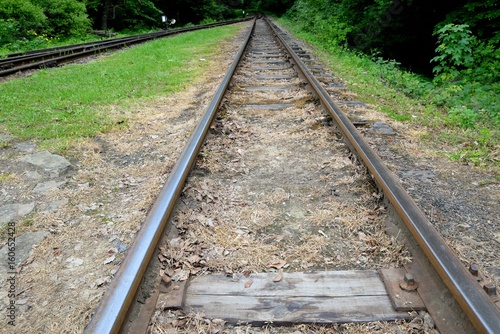 Obraz na płótnie Narrow gauge railway Bieszczady forest track and attractions w salonie