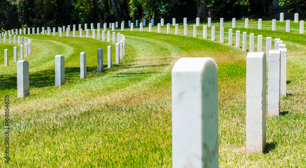 curved rows of gravestones in military cemetery