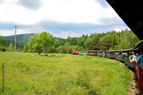 Fototapeta Naklejka Na Ścianę i Meble -  Narrow gauge railway Bieszczady forest track and attractions