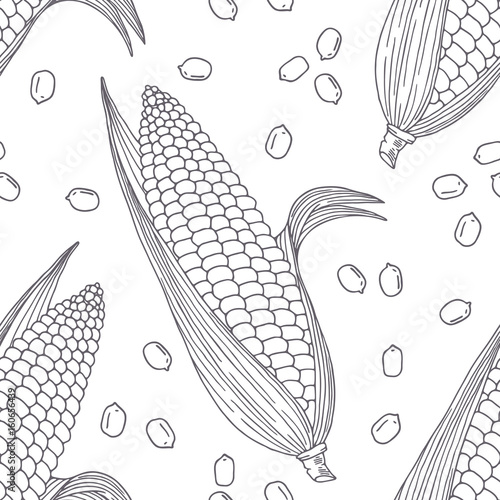 Hand drawn seamless pattern with corn. Monochrome background in sketch style