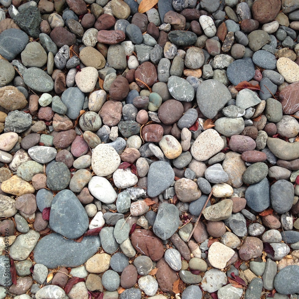 Rocks on Beach Rocks on Beach