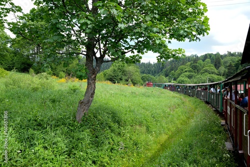 Obraz na płótnie Narrow gauge railway Bieszczady forest track and attractions w salonie