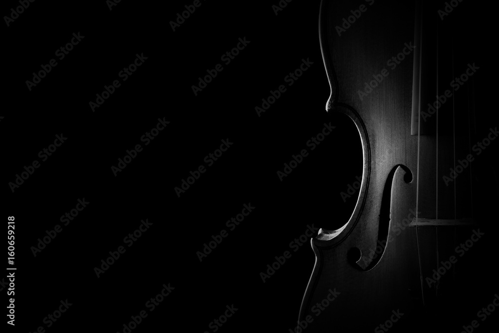 Obraz premium Instrumenty muzyczne orkiestry skrzypce zbliżenie