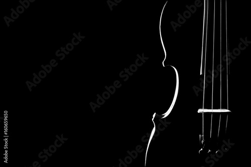 Violin closeup silhouette isolated