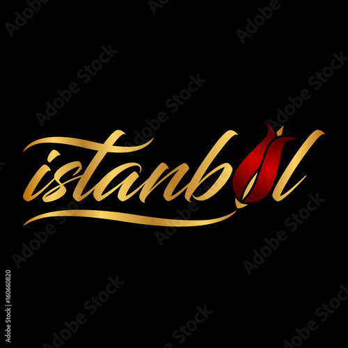 istanbul logo, icon and symbol vector illustration