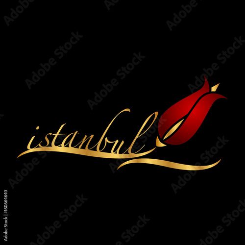 istanbul logo, icon and symbol vector illustration